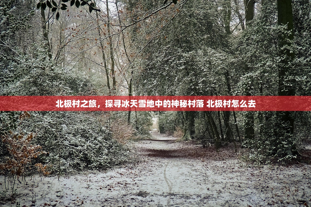 北极村之旅,探寻冰天雪地中的神秘村落 北极村怎么去 北极村之旅,探寻冰天雪地中的神秘村落 北极村怎么去