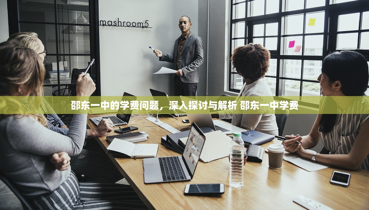 邵东一中的学费问题，深入探讨与解析 邵东一中学费