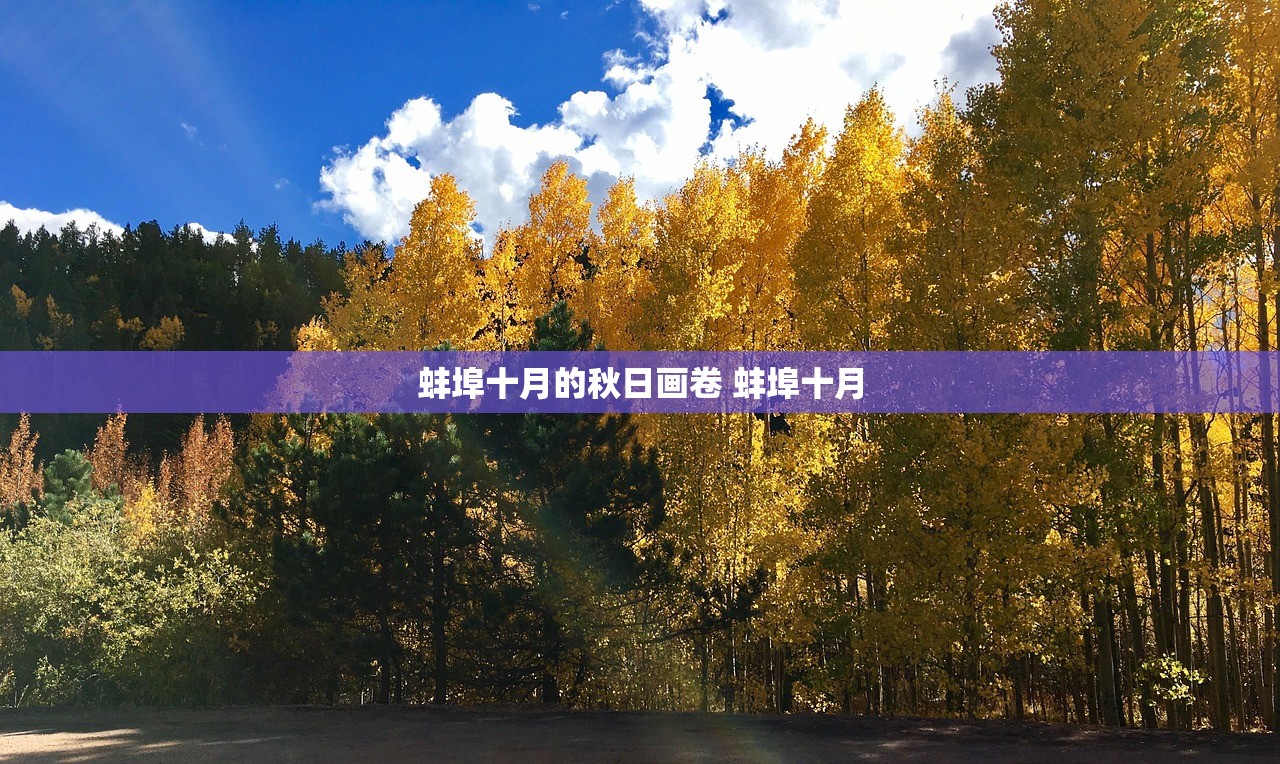 蚌埠十月的秋日画卷 蚌埠十月