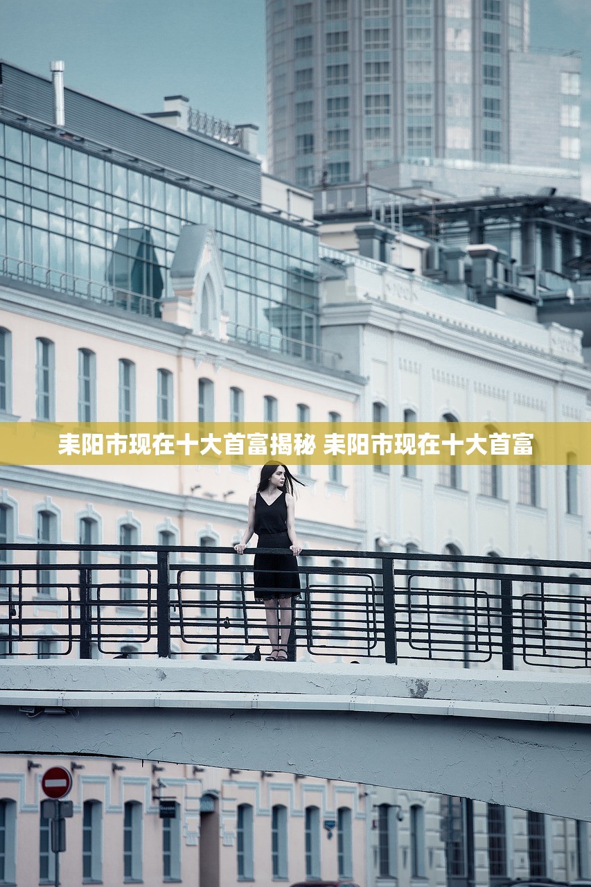 耒阳市现在十大首富揭秘 耒阳市现在十大首富