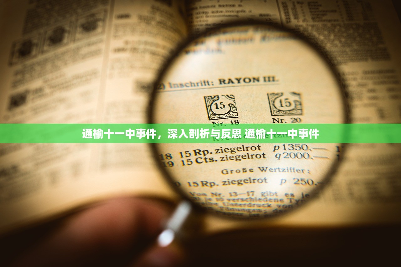 通榆十一中事件，深入剖析与反思 通榆十一中事件
