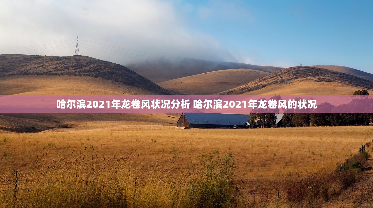 哈尔滨2021年龙卷风状况分析 哈尔滨2021年龙卷风的状况