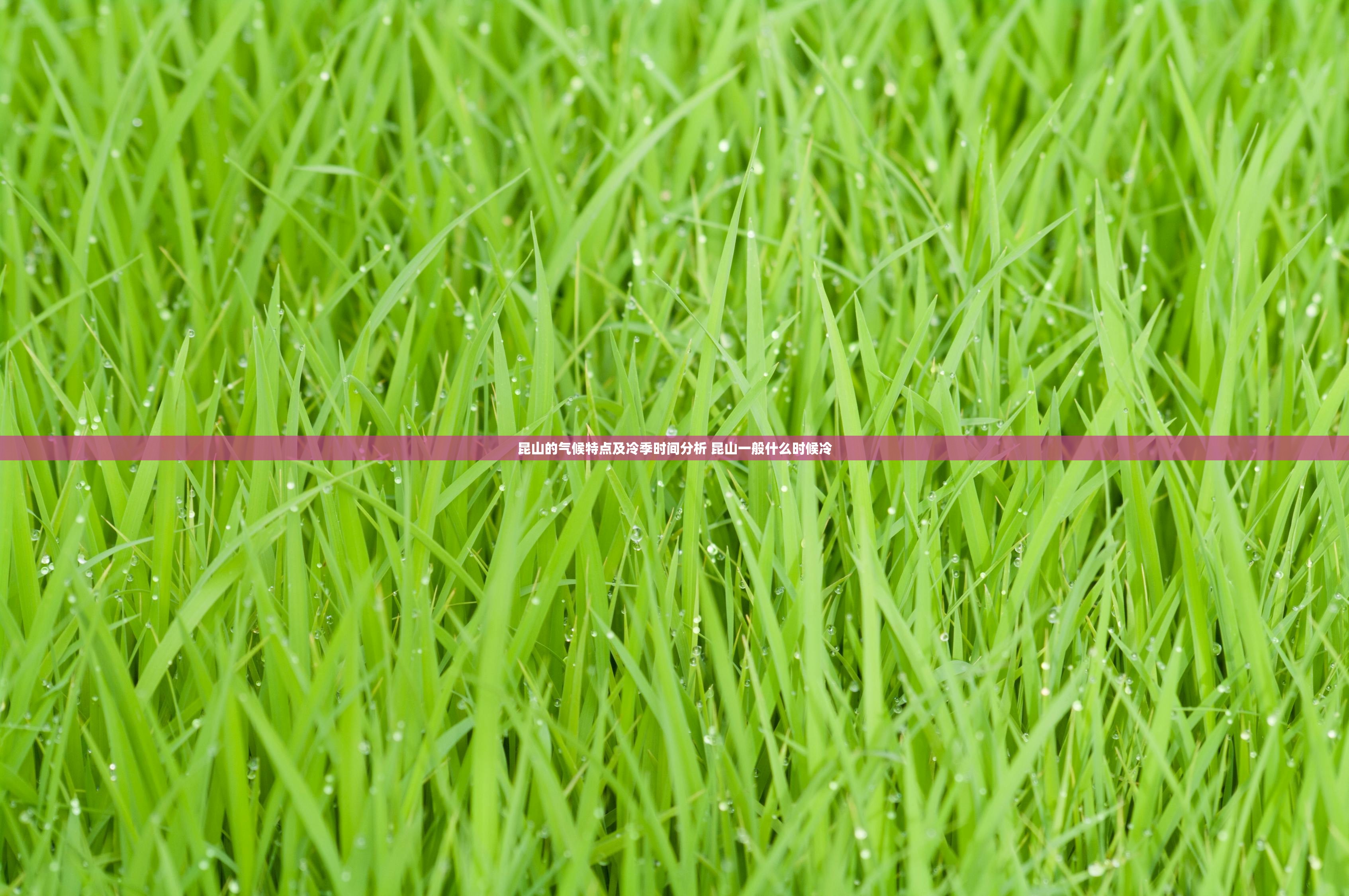 昆山的气候特点及冷季时间分析 昆山一般什么时候冷