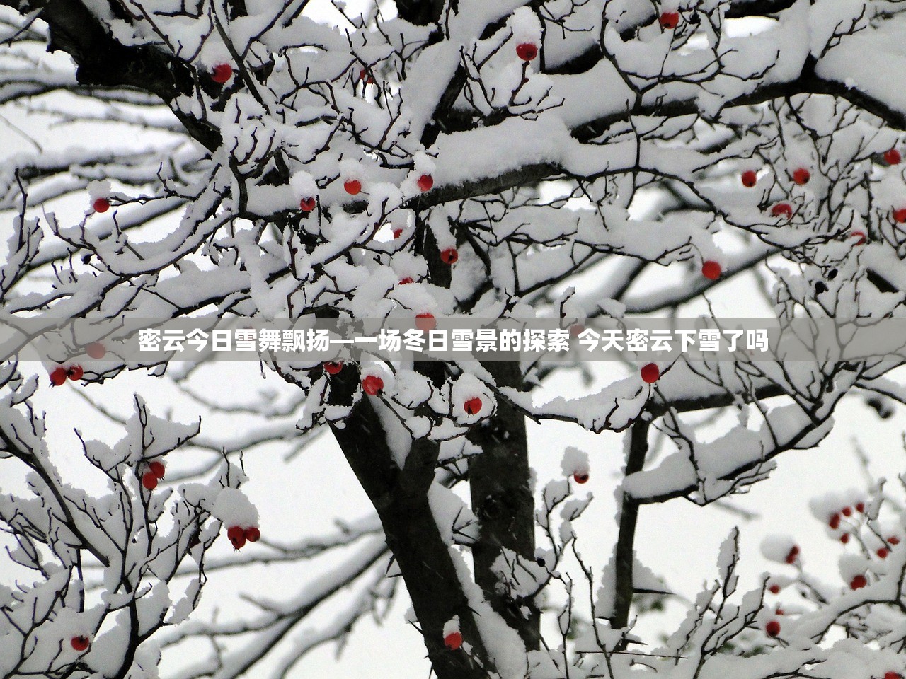 密云今日雪舞飘扬—一场冬日雪景的探索 今天密云下雪了吗