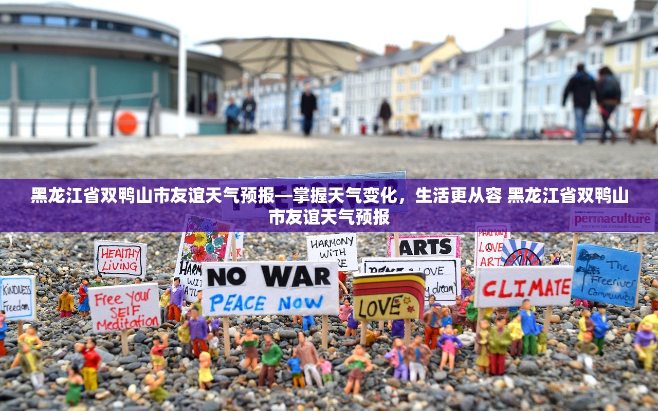 黑龙江省双鸭山市友谊天气预报—掌握天气变化,生活更从容 黑龙江省双鸭山市友谊天气预报 黑龙江省双鸭山市友谊天气预报—掌握天气变化,生活更从容 黑龙江省双鸭山市友谊天气预报