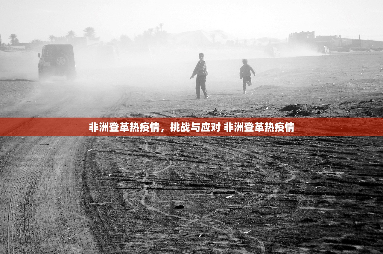 非洲登革热疫情，挑战与应对 非洲登革热疫情