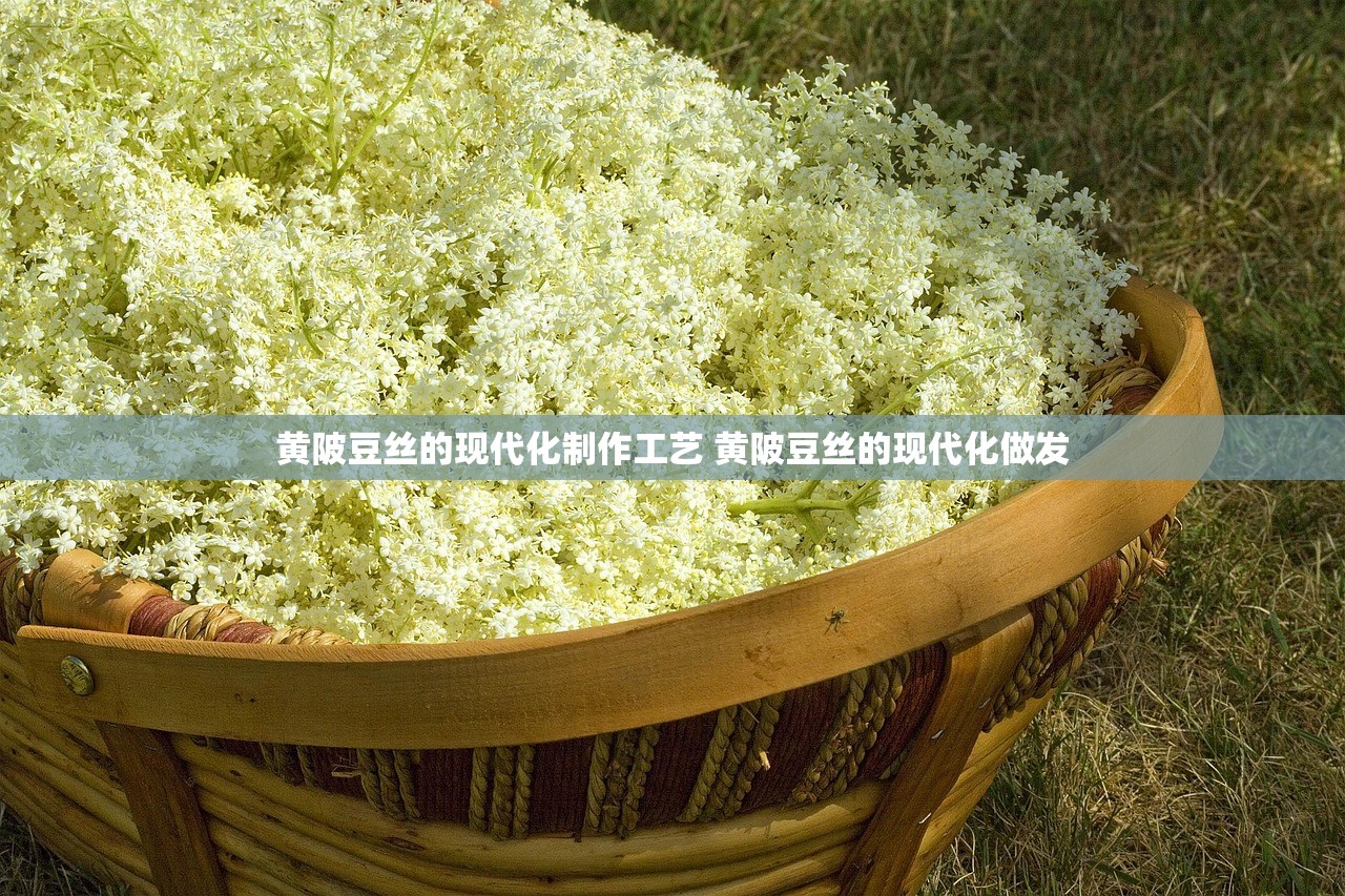 黄陂豆丝的现代化制作工艺 黄陂豆丝的现代化做发 黄陂豆丝的现代化制作工艺 黄陂豆丝的现代化做发