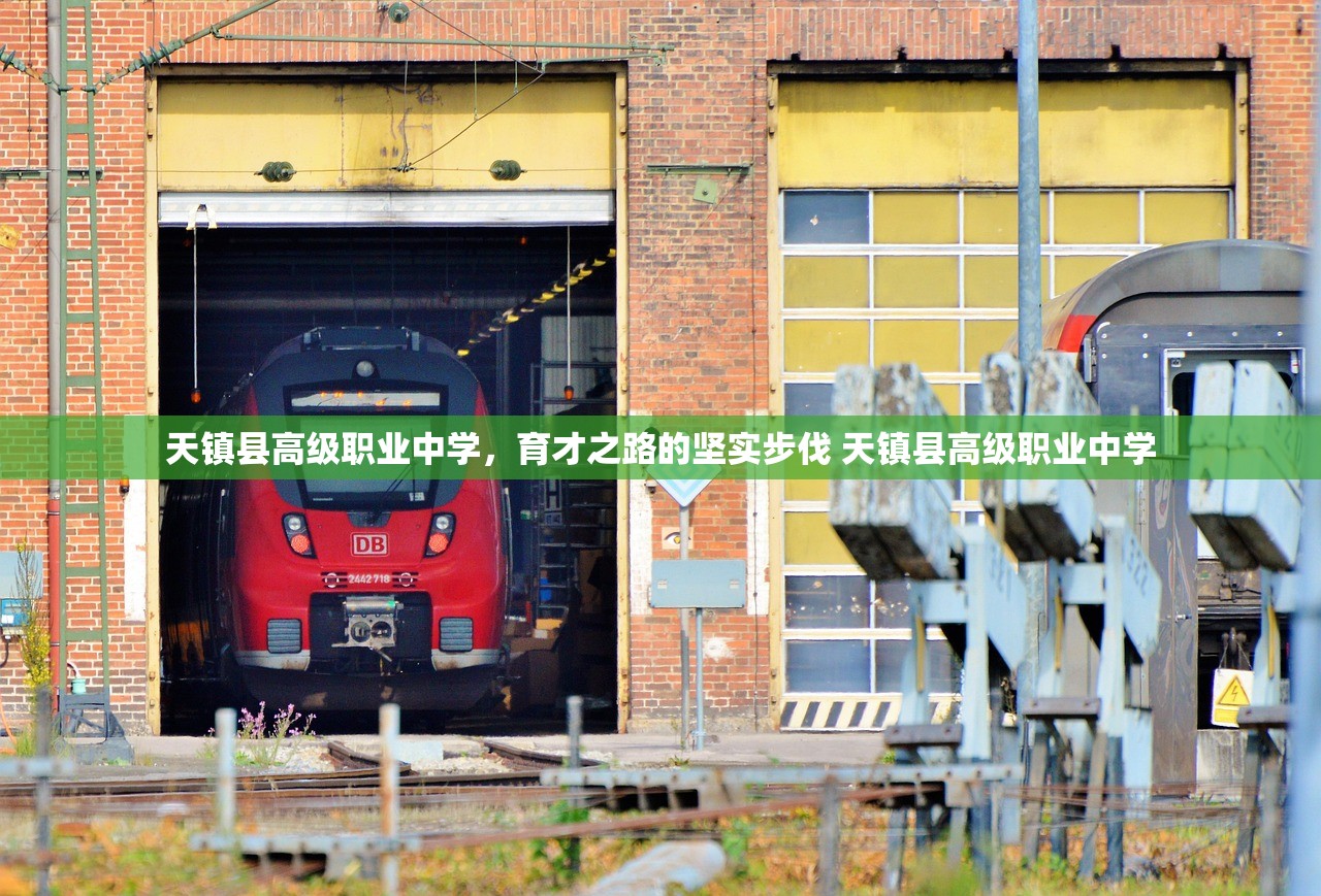 天镇县高级职业中学，育才之路的坚实步伐 天镇县高级职业中学