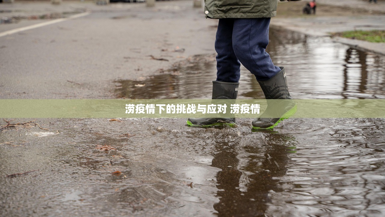 涝疫情下的挑战与应对 涝疫情