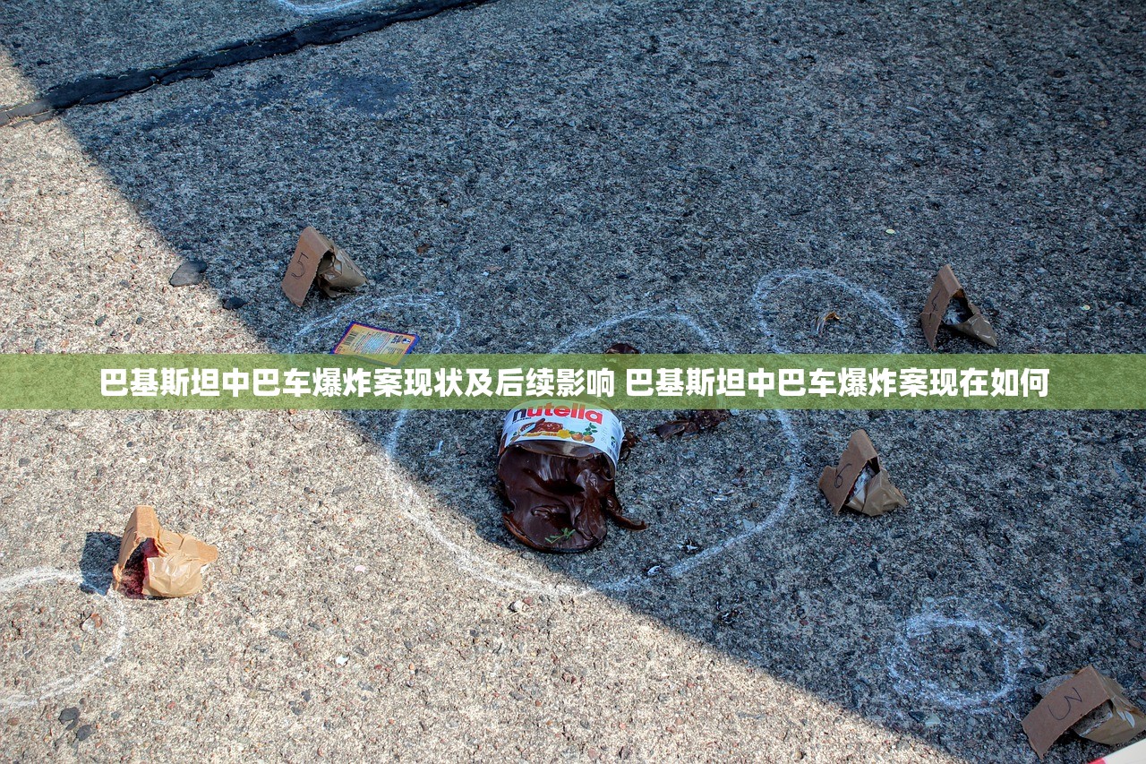 巴基斯坦中巴车爆炸案现状及后续影响 巴基斯坦中巴车爆炸案现在如何