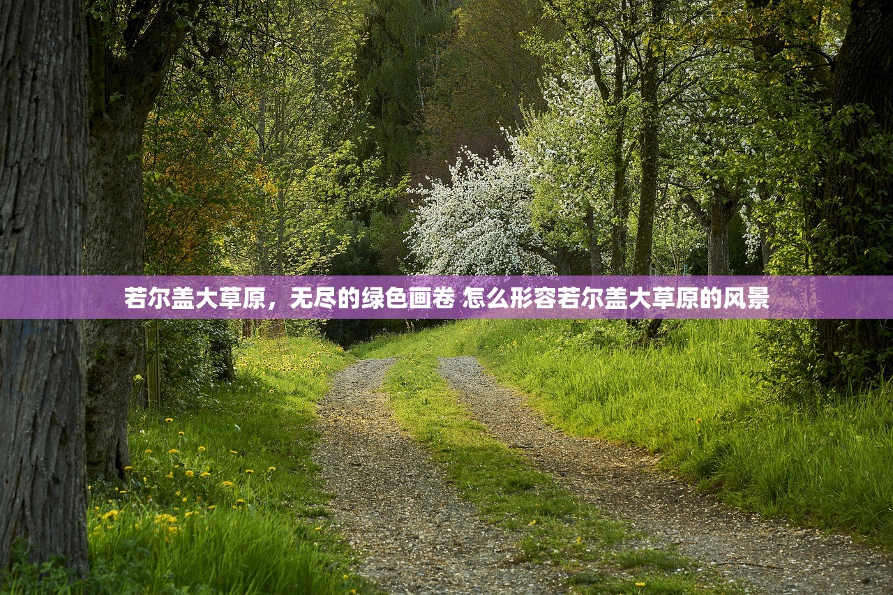 若尔盖大草原，无尽的绿色画卷 怎么形容若尔盖大草原的风景
