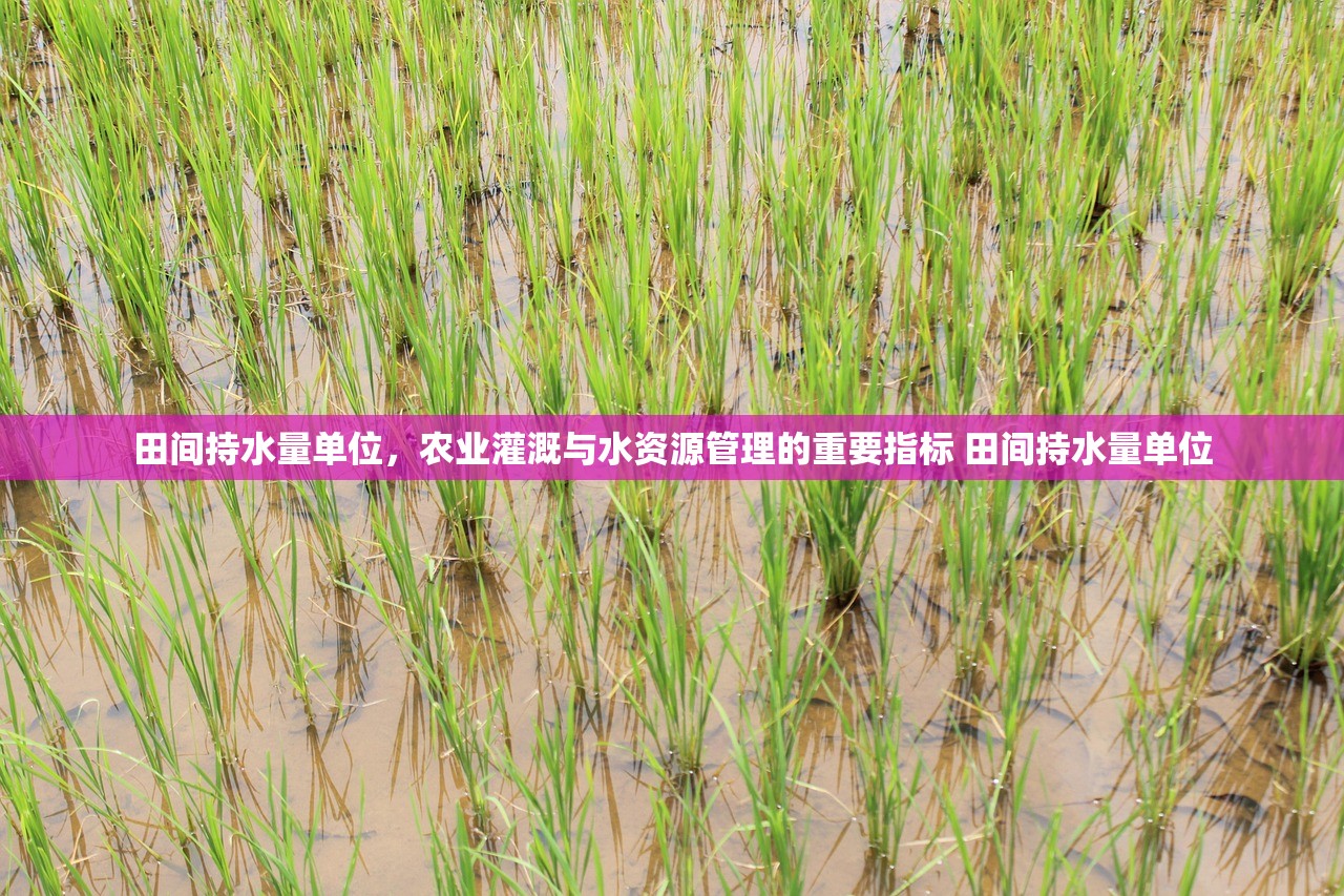 田间持水量单位，农业灌溉与水资源管理的重要指标 田间持水量单位