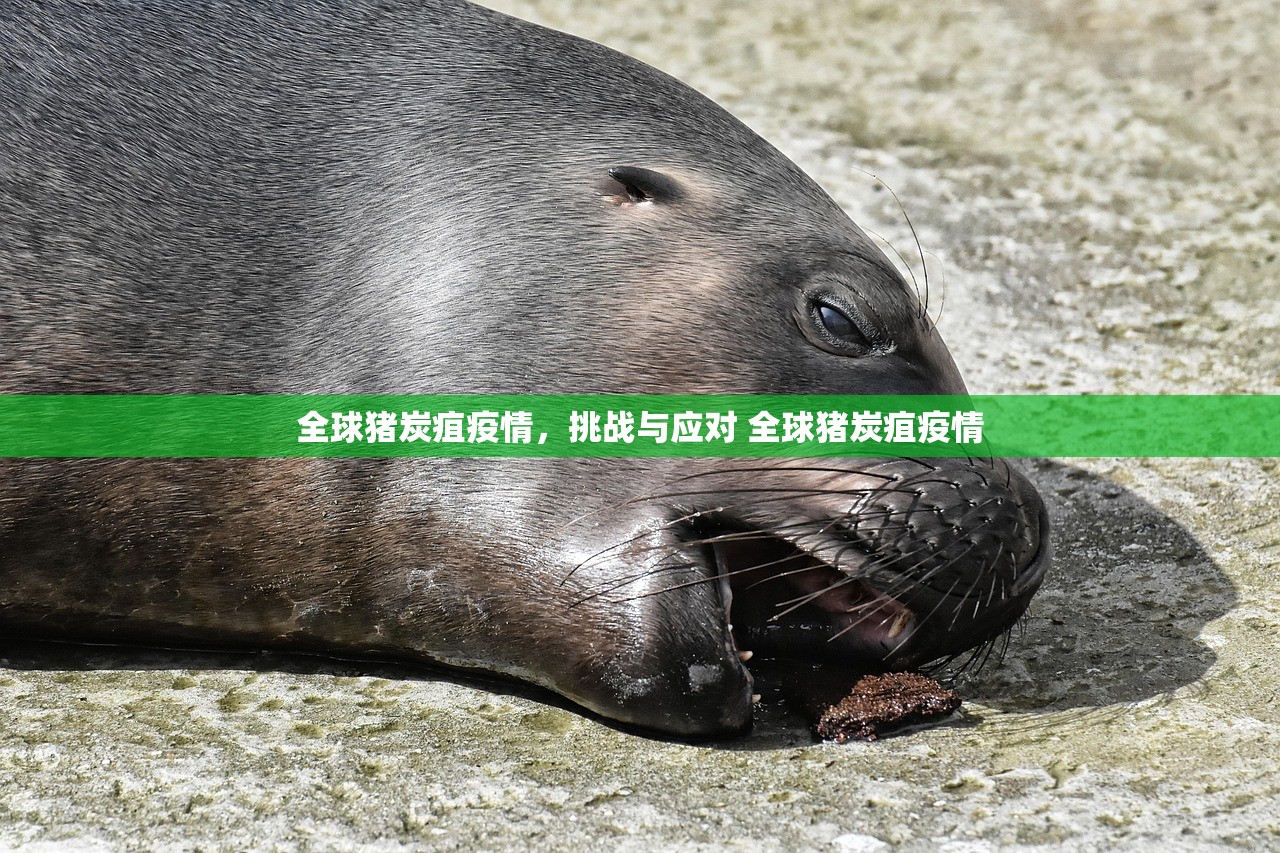 全球猪炭疽疫情，挑战与应对 全球猪炭疽疫情