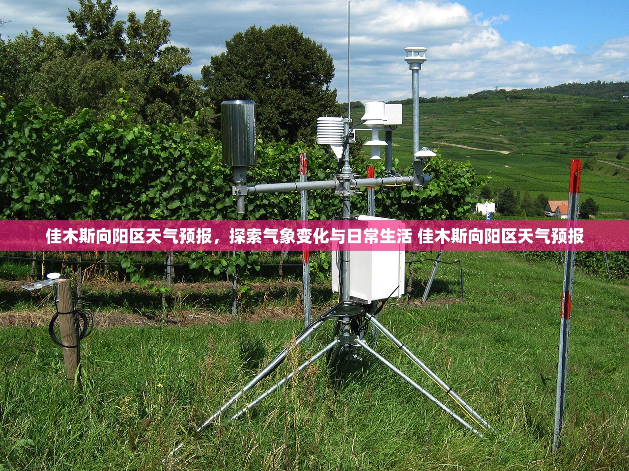 佳木斯向阳区天气预报，探索气象变化与日常生活 佳木斯向阳区天气预报