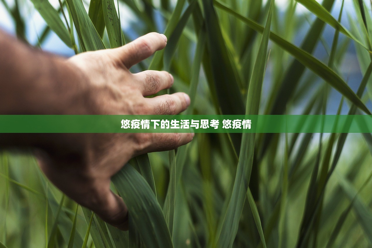 悠疫情下的生活与思考 悠疫情