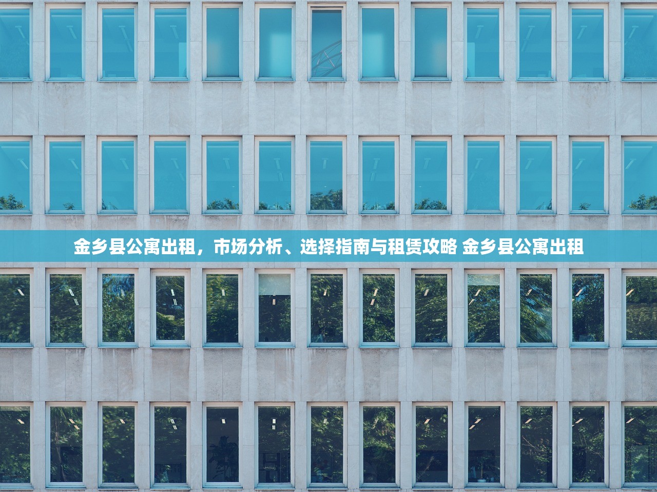金乡县公寓出租，市场分析、选择指南与租赁攻略 金乡县公寓出租
