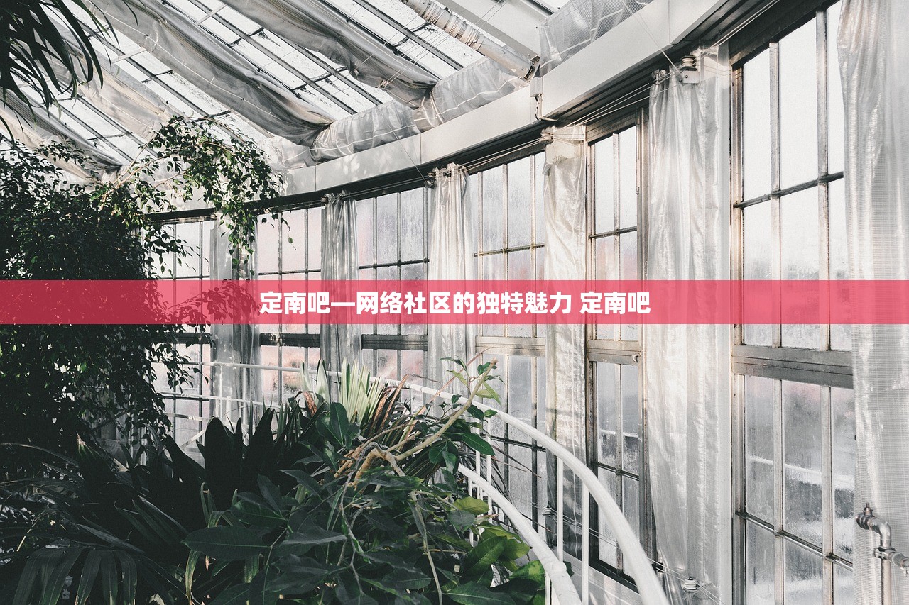 定南吧—网络社区的独特魅力 定南吧