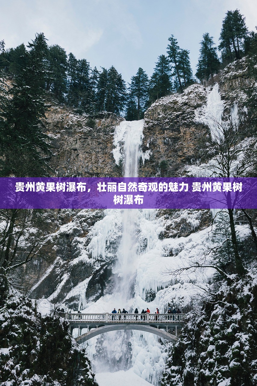贵州黄果树瀑布，壮丽自然奇观的魅力 贵州黄果树树瀑布