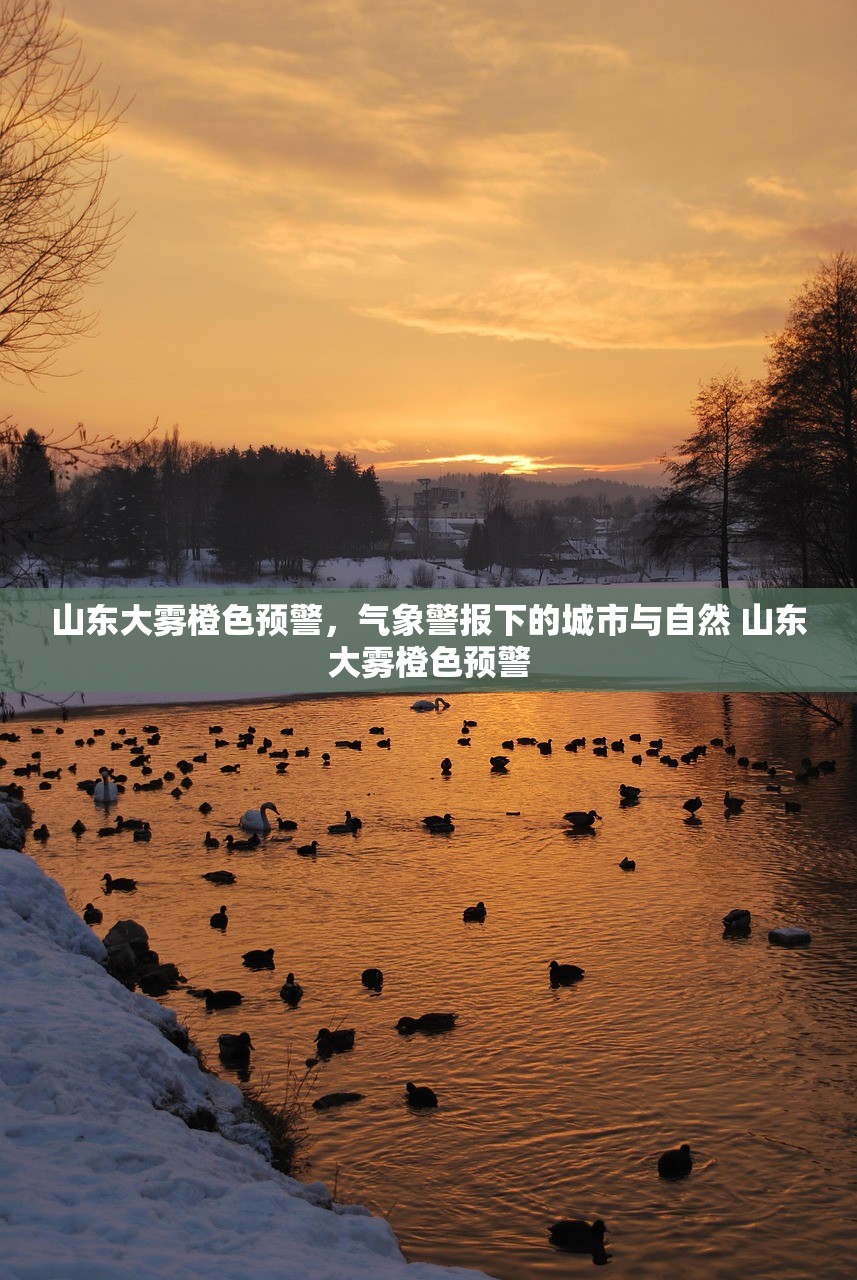 山东大雾橙色预警,气象警报下的城市与自然 山东大雾橙色预警 山东大雾橙色预警,气象警报下的城市与自然 山东大雾橙色预警