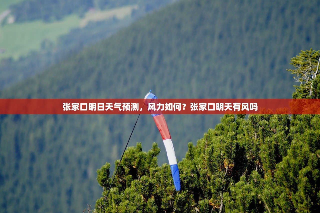 张家口明日天气预测，风力如何？张家口明天有风吗