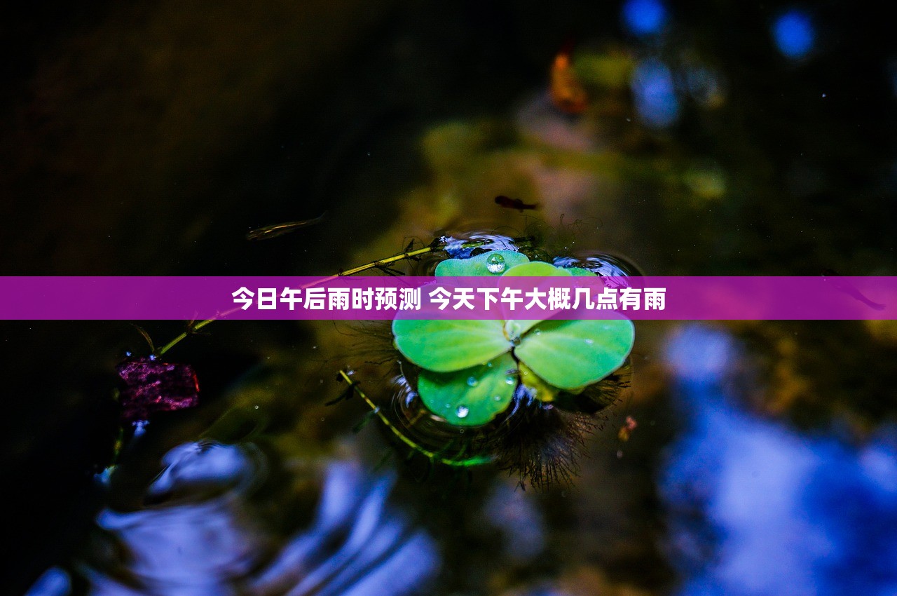 今日午后雨时预测 今天下午大概几点有雨