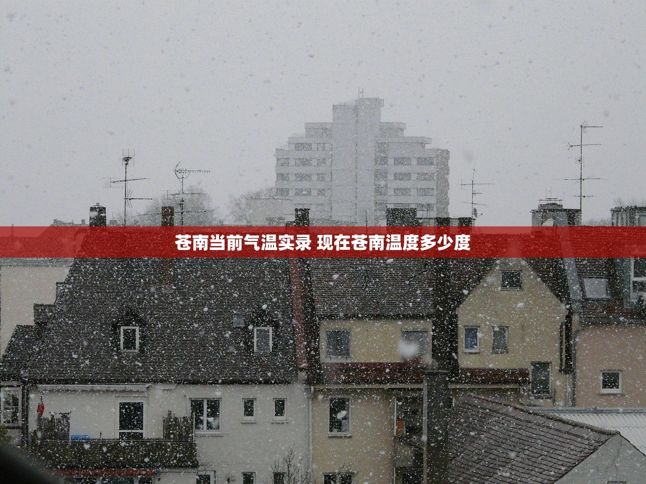 苍南当前气温实录 现在苍南温度多少度