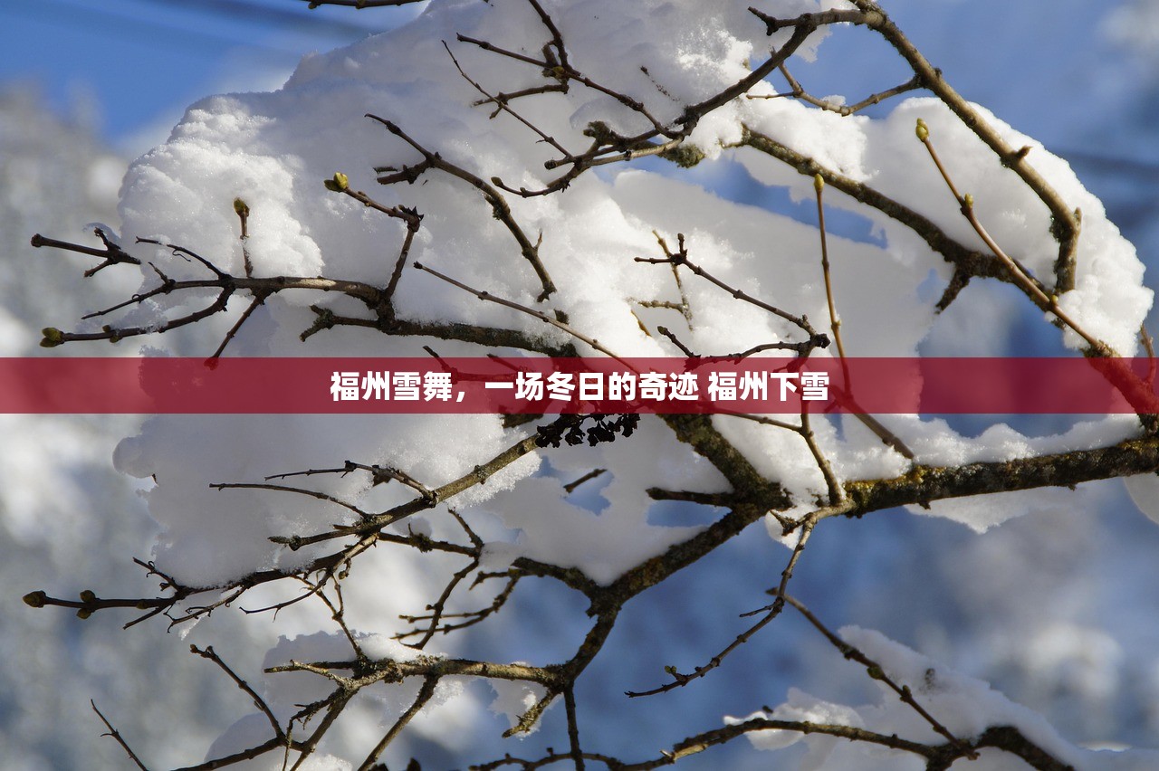 福州雪舞，一场冬日的奇迹 福州下雪