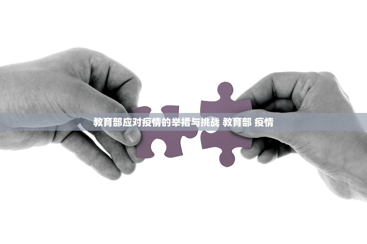 教育部应对疫情的举措与挑战 教育部 疫情