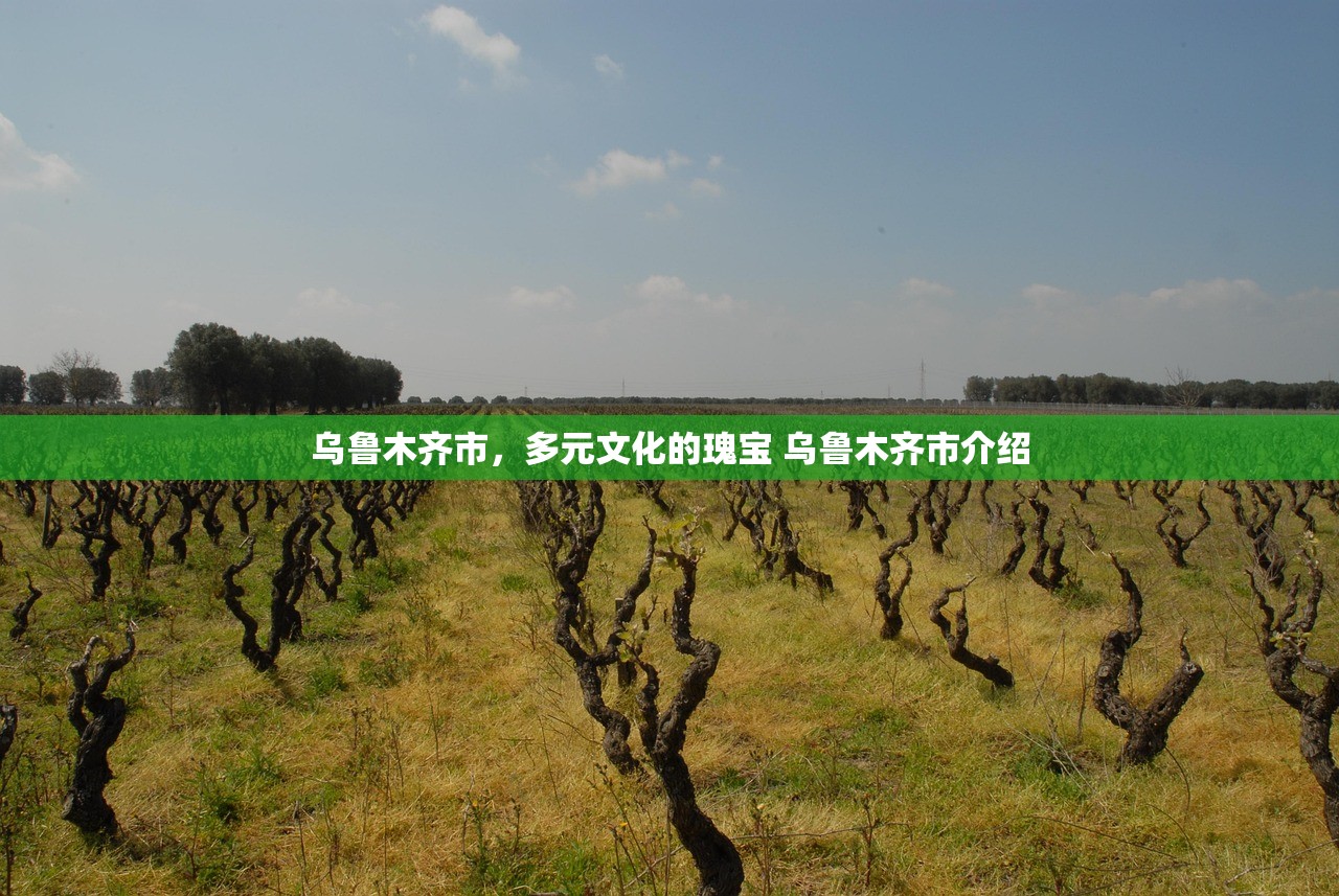乌鲁木齐市，多元文化的瑰宝 乌鲁木齐市介绍