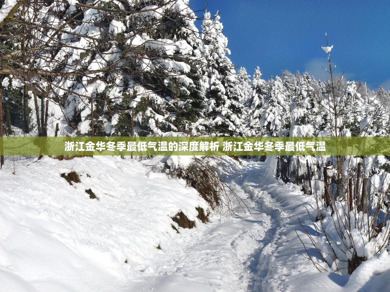 浙江金华冬季最低气温的深度解析 浙江金华冬季最低气温