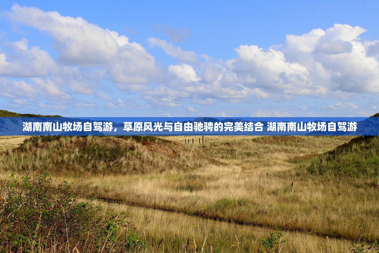 湖南南山牧场自驾游，草原风光与自由驰骋的完美结合 湖南南山牧场自驾游