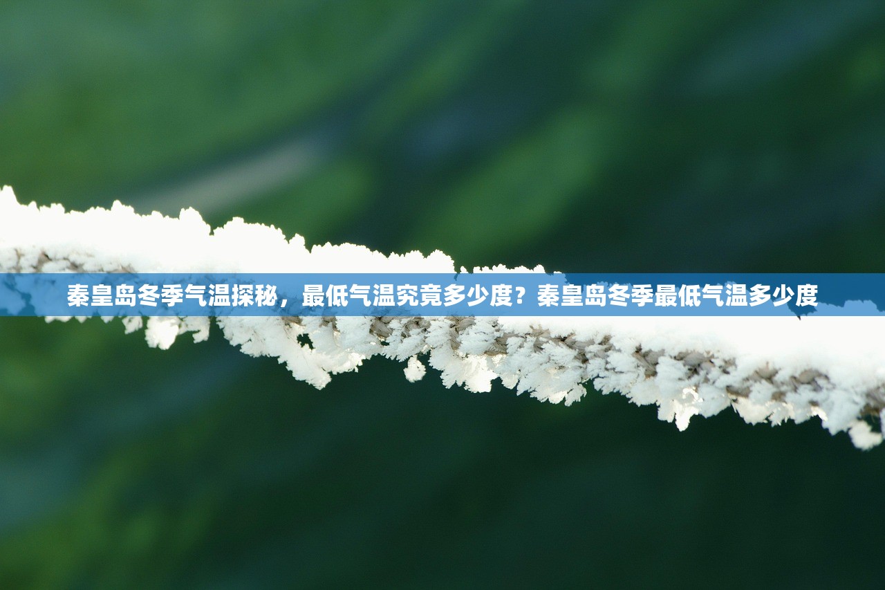 秦皇岛冬季气温探秘，最低气温究竟多少度？秦皇岛冬季最低气温多少度