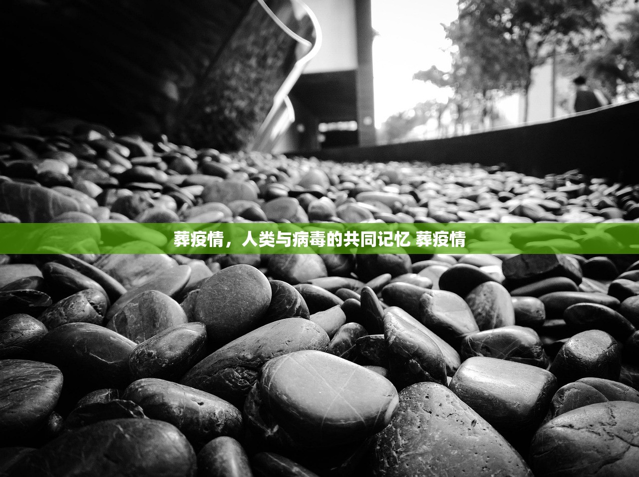 葬疫情,人类与病毒的共同记忆 葬疫情 葬疫情,人类与病毒的共同记忆 葬疫情
