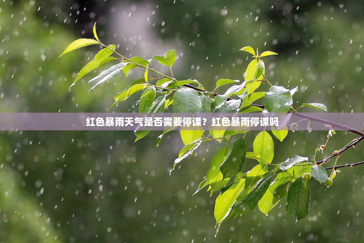 红色暴雨天气是否需要停课？红色暴雨停课吗