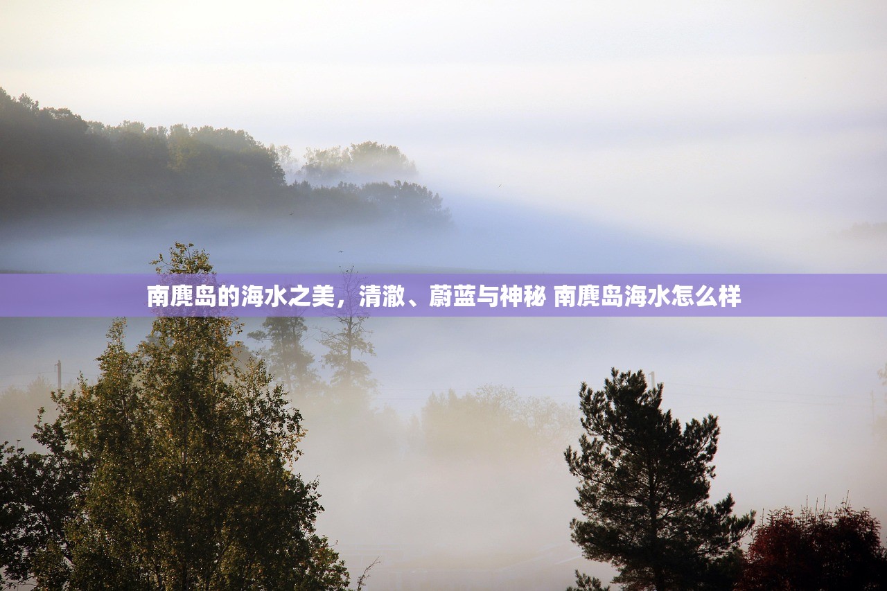 南麂岛的海水之美，清澈、蔚蓝与神秘 南麂岛海水怎么样