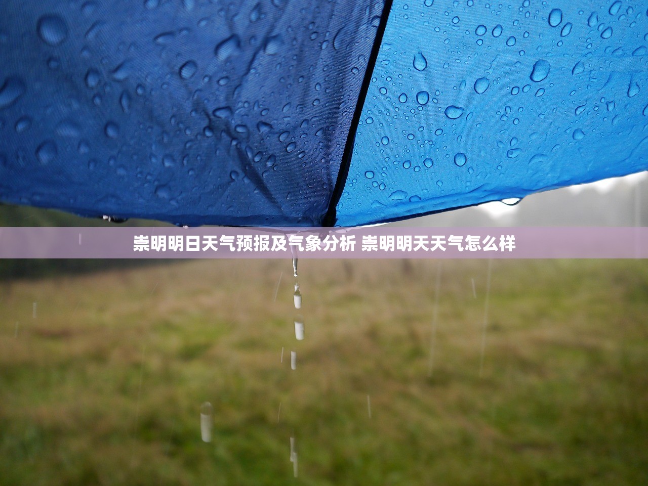 崇明明日天气预报及气象分析 崇明明天天气怎么样