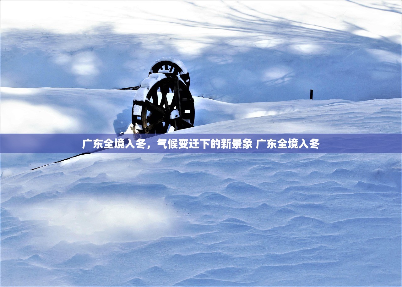 广东全境入冬，气候变迁下的新景象 广东全境入冬