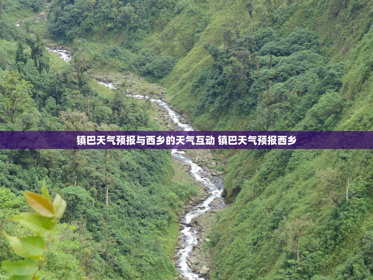 镇巴天气预报与西乡的天气互动 镇巴天气预报西乡