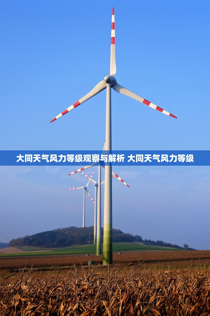 大同天气风力等级观察与解析 大同天气风力等级