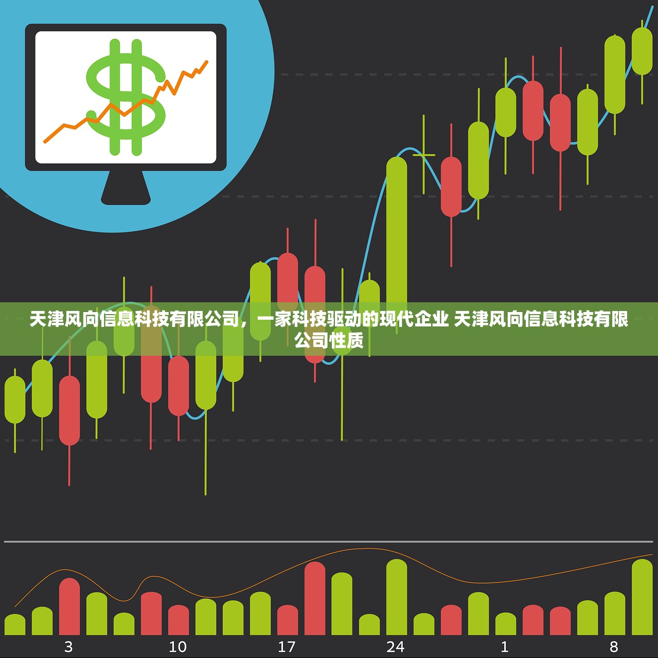 天津风向信息科技有限公司，一家科技驱动的现代企业 天津风向信息科技有限公司性质