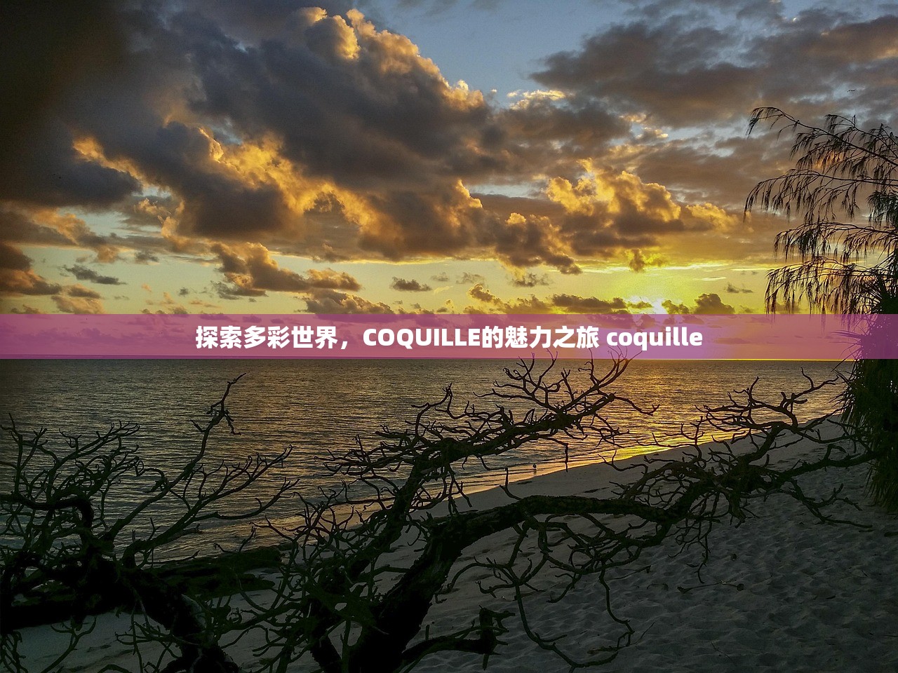 探索多彩世界,COQUILLE的魅力之旅 coquille 探索多彩世界,COQUILLE的魅力之旅 coquille