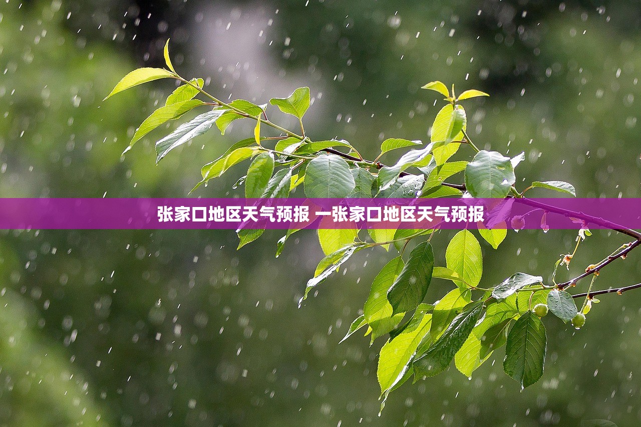 张家口地区天气预报 一张家口地区天气预报
