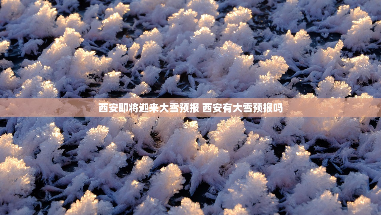 西安即将迎来大雪预报 西安有大雪预报吗