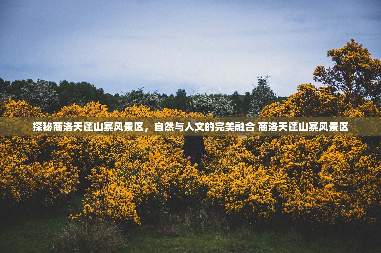 探秘商洛天蓬山寨风景区，自然与人文的完美融合 商洛天蓬山寨风景区