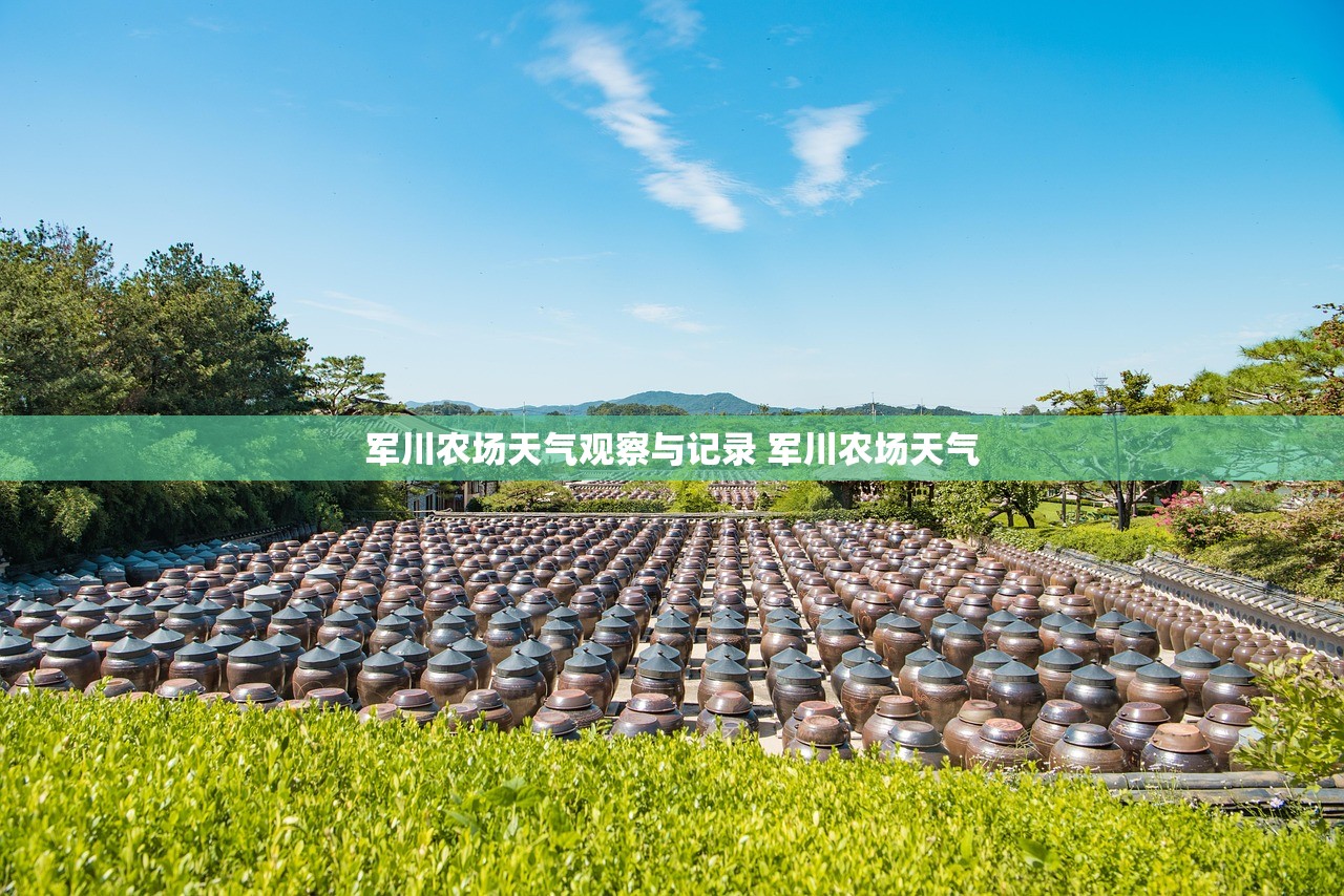军川农场天气观察与记录 军川农场天气