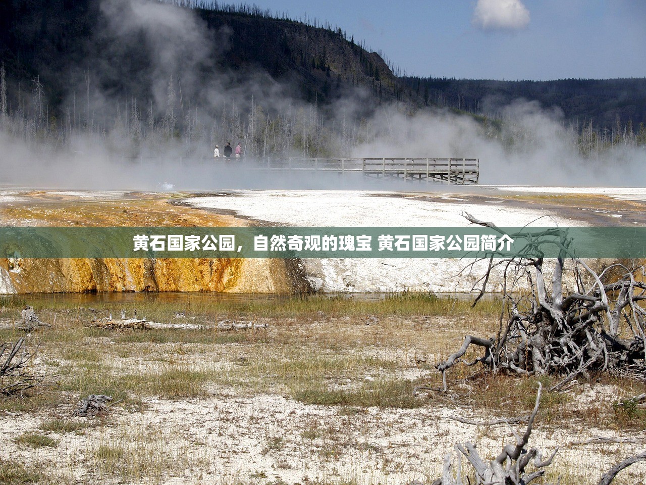 黄石国家公园，自然奇观的瑰宝 黄石国家公园简介