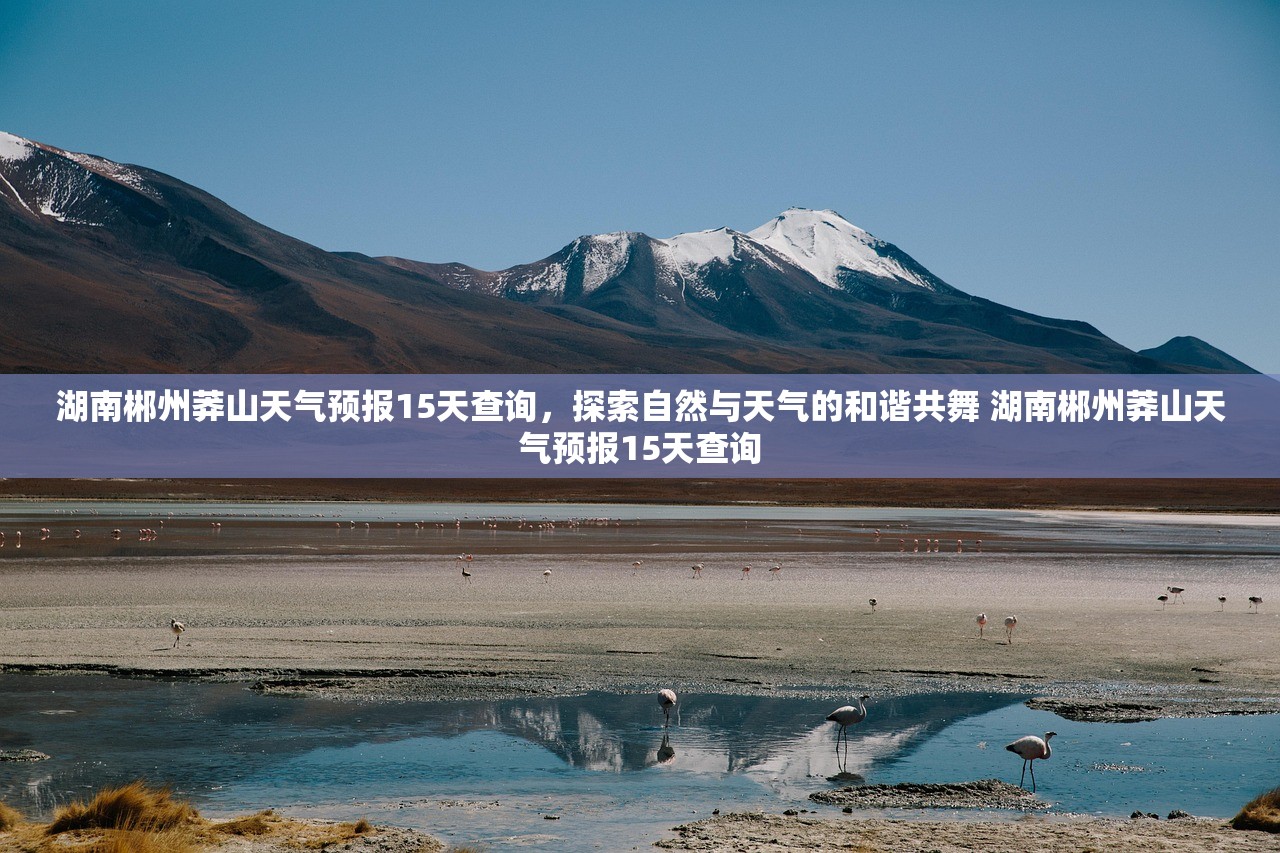 湖南郴州莽山天气预报15天查询，探索自然与天气的和谐共舞 湖南郴州莽山天气预报15天查询