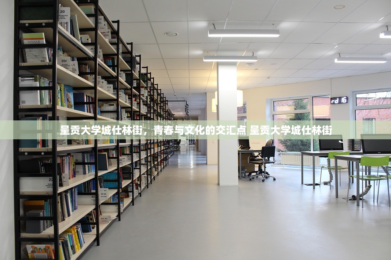 呈贡大学城仕林街，青春与文化的交汇点 呈贡大学城仕林街