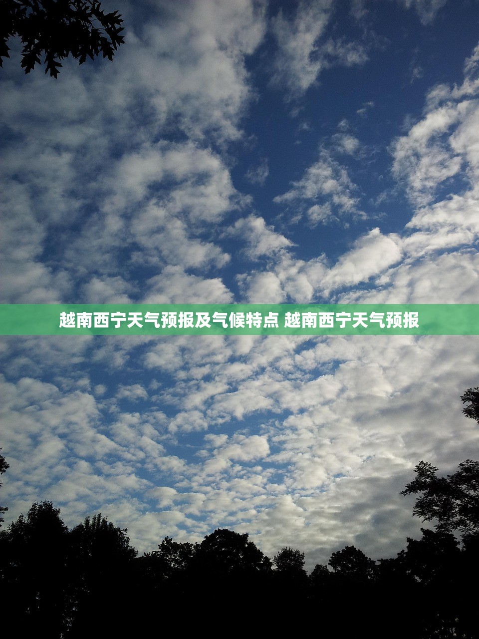 越南西宁天气预报及气候特点 越南西宁天气预报