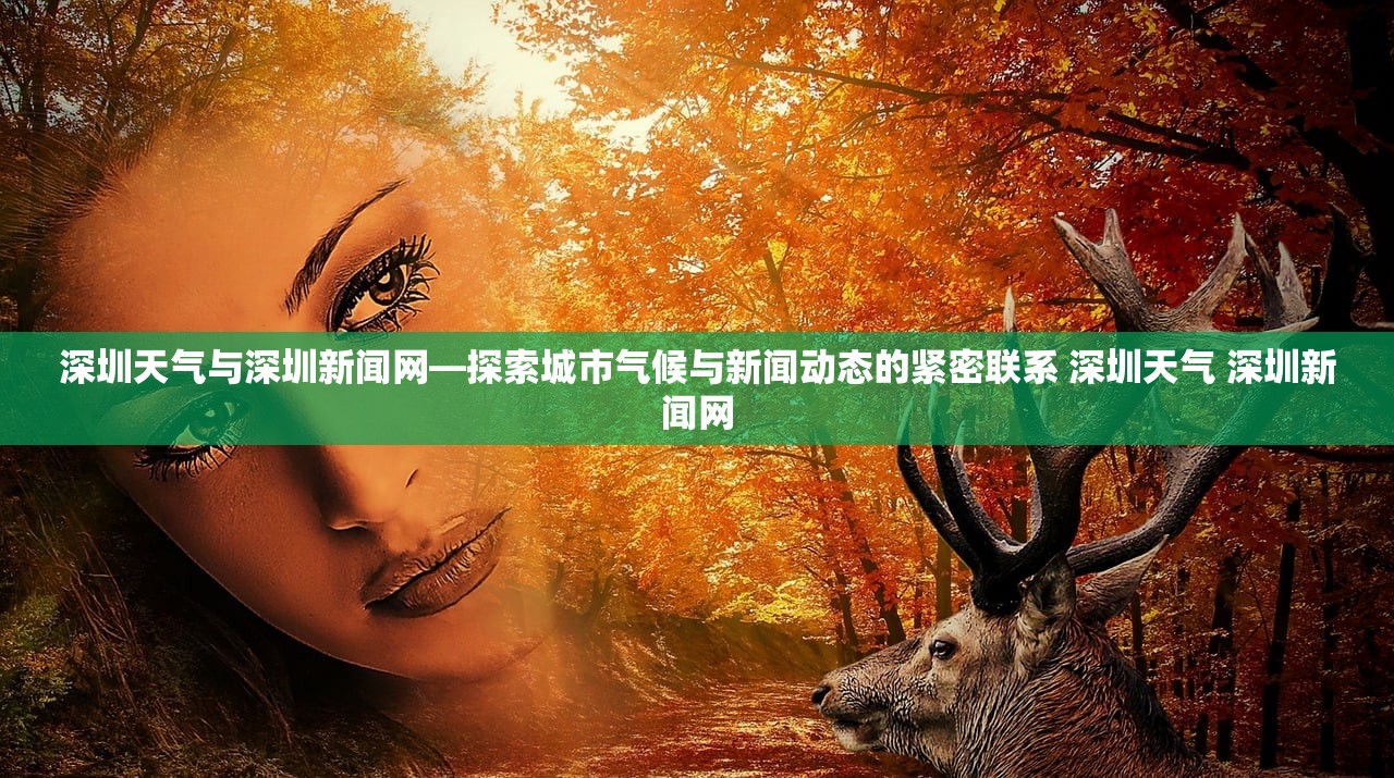 深圳天气与深圳新闻网—探索城市气候与新闻动态的紧密联系 深圳天气 深圳新闻网